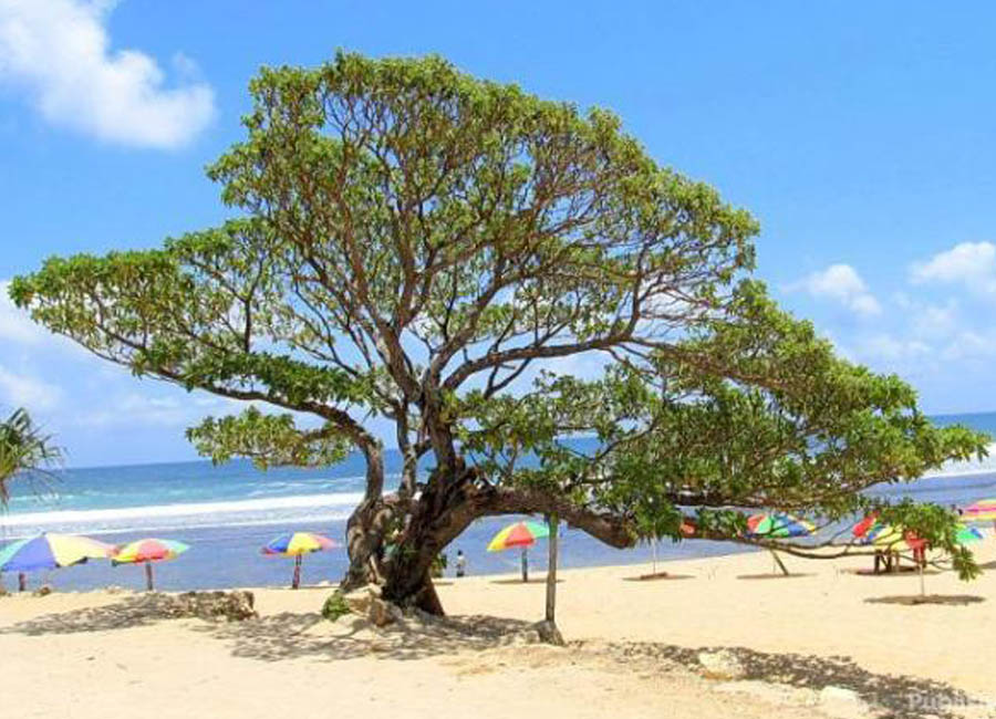 Pantai Pok Tunggal